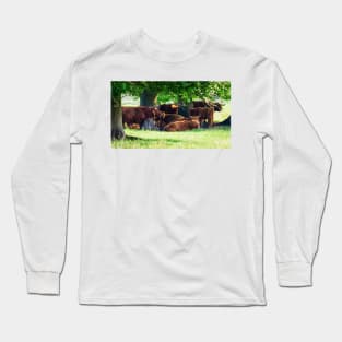 Highland cattle cows family having a rest in the cool shadow under trees Long Sleeve T-Shirt